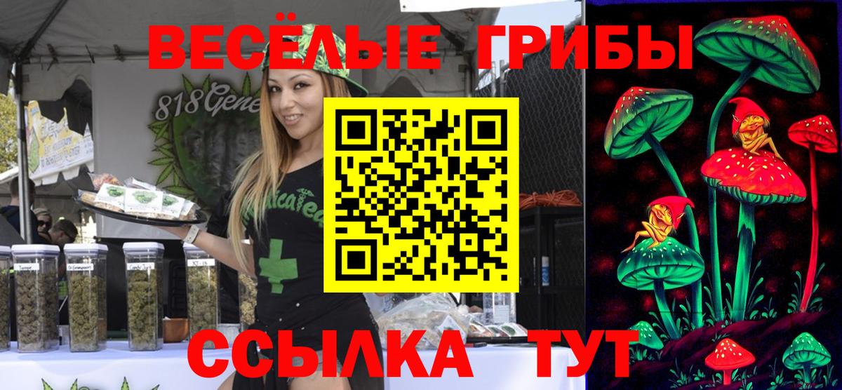 Рубцовск  Галлюциногенные грибы Psilocybe  Вход с VPN 