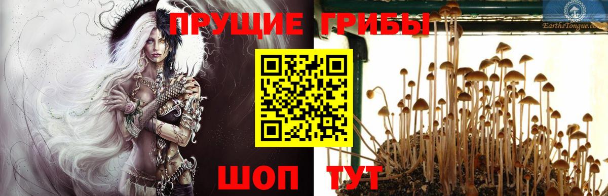 Псилоцибиновые грибы MAGIC MUSHROOMS Рубцовск